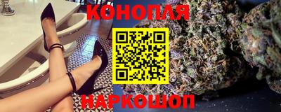 прущие крисы Камышлов
