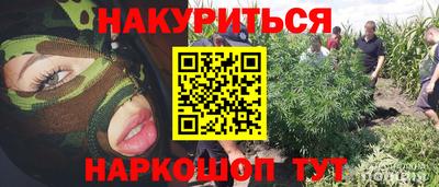 прущие крисы Камышлов